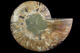 Agatized Ammonite Fossil (Half) - Madagascar #83806-1